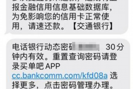 镇宁如何避免债务纠纷？专业追讨公司教您应对之策