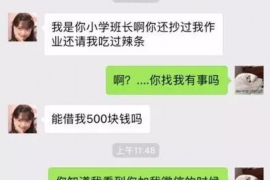 镇宁遇到恶意拖欠？专业追讨公司帮您解决烦恼